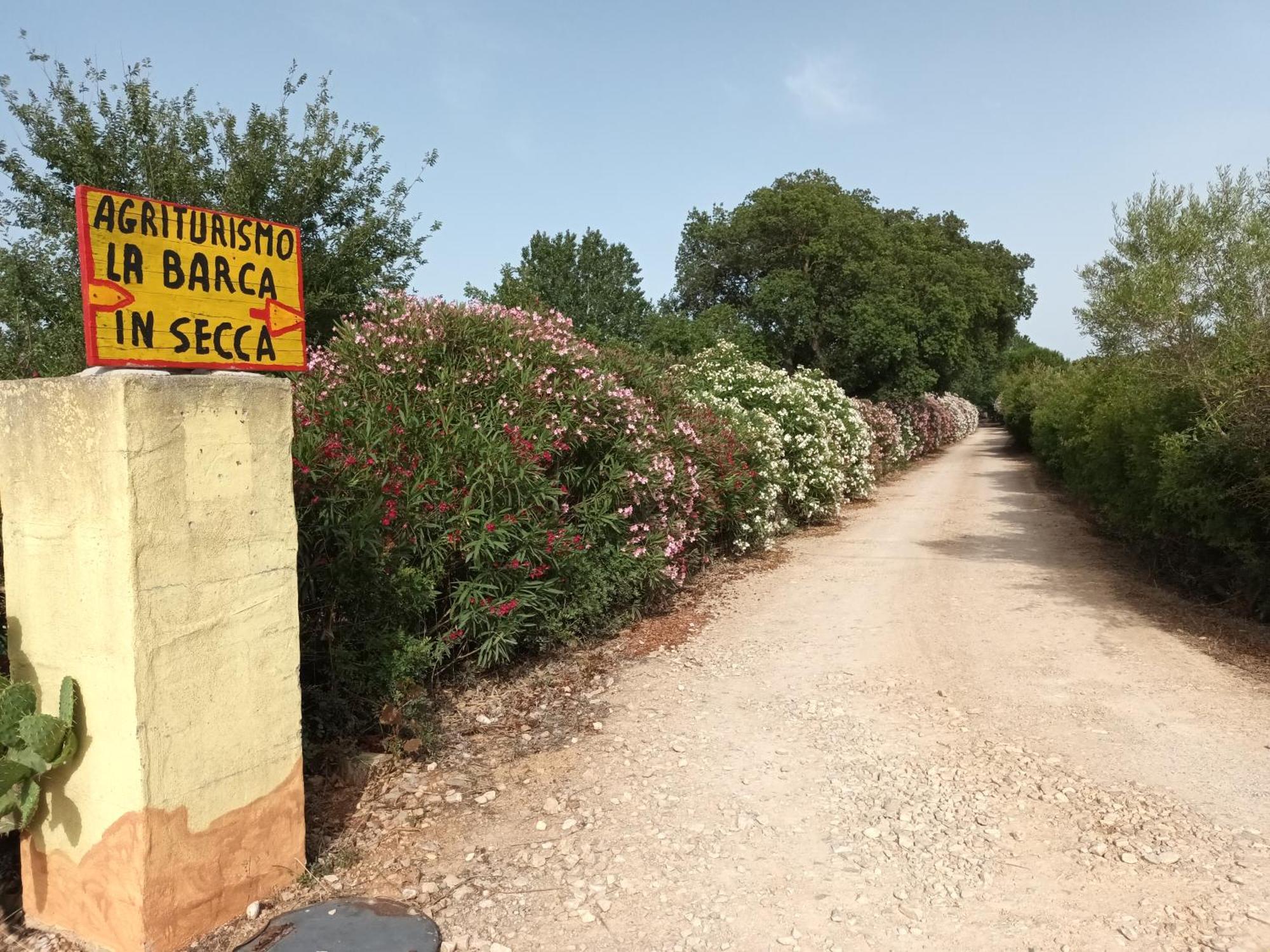 Agriturismo La Barca In Secca Olmedo Eksteriør bilde
